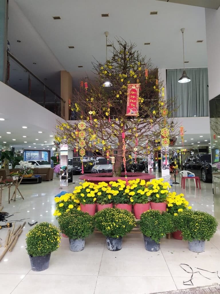 Nhà tre sự kiện Tết
