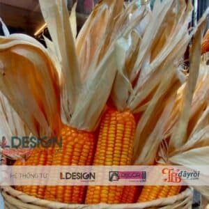 Trang Trí Tiểu Cảnh Tết Bằng Quả Bắp