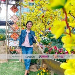 Cho Thuê Tiểu Cảnh Tết 2024